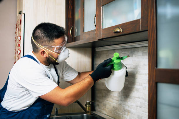 Best Local Pest Control Services  in Merrill, IA