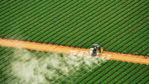 Best Commercial Pest Control Services  in Merrill, IA