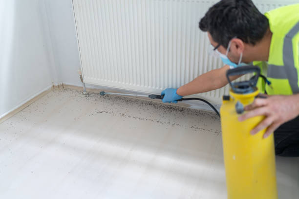 Best Affordable Pest Control Services  in Merrill, IA
