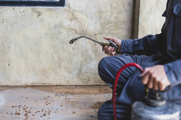 Best Mosquito Control Services  in Merrill, IA